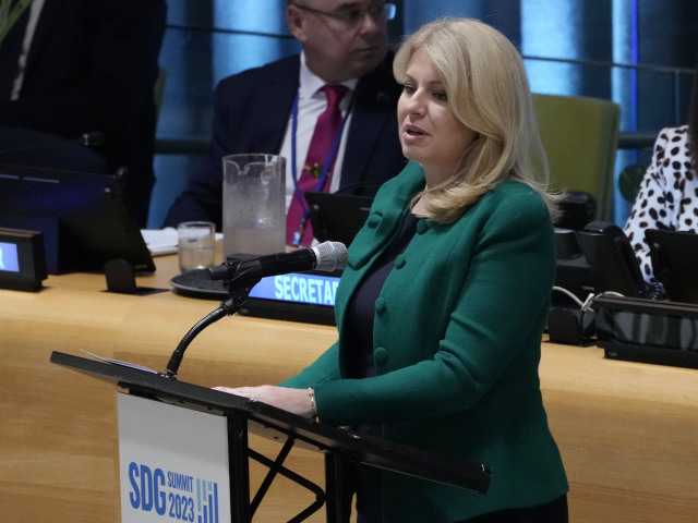Zuzana Čaputová, OSN