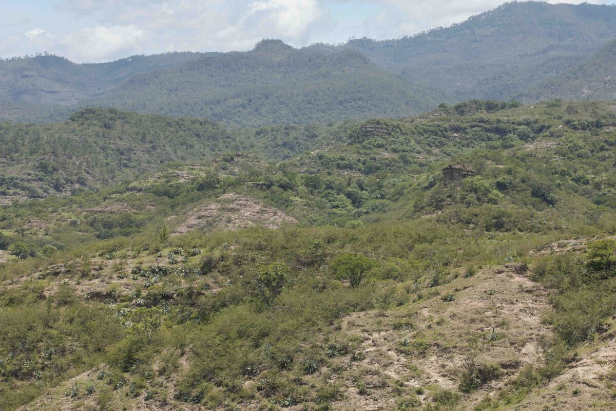 honduras, lenca