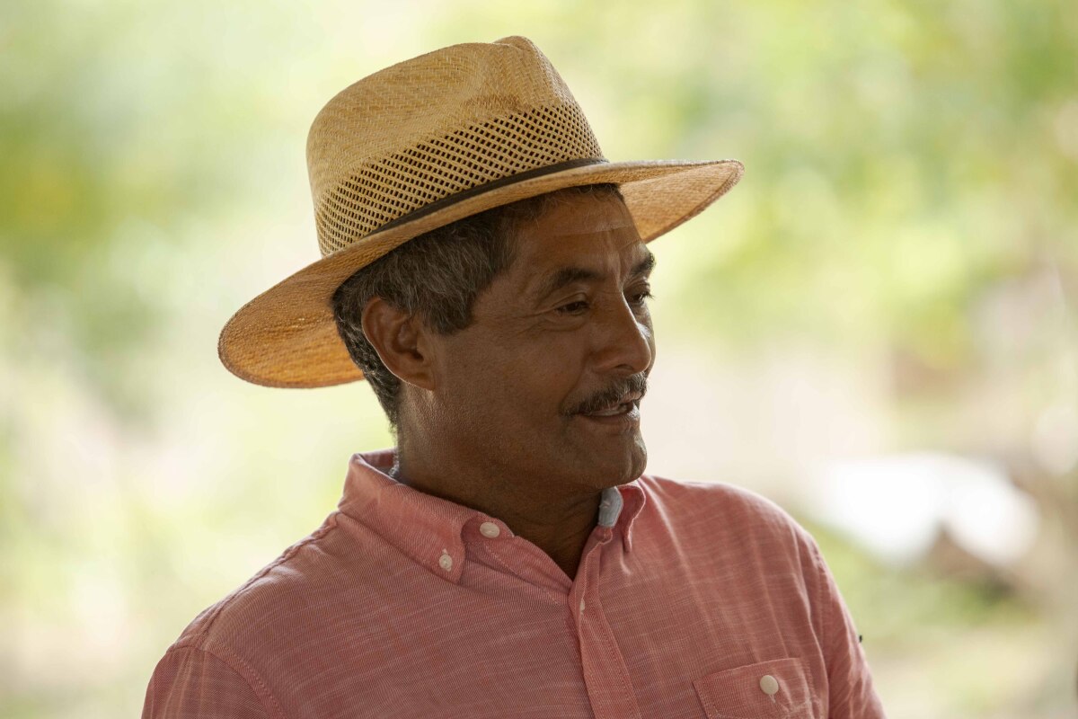 honduras, Nicolas Domínguez