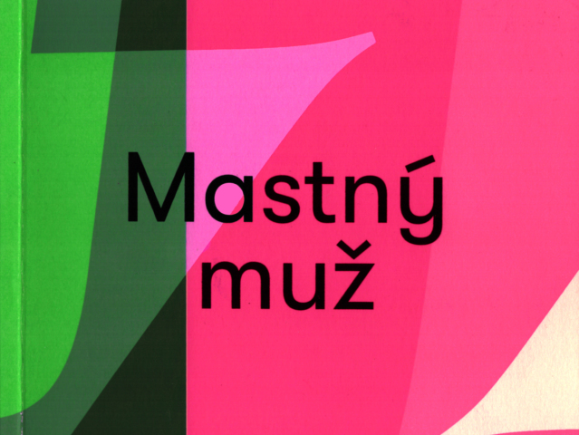 kniha Mastny muz