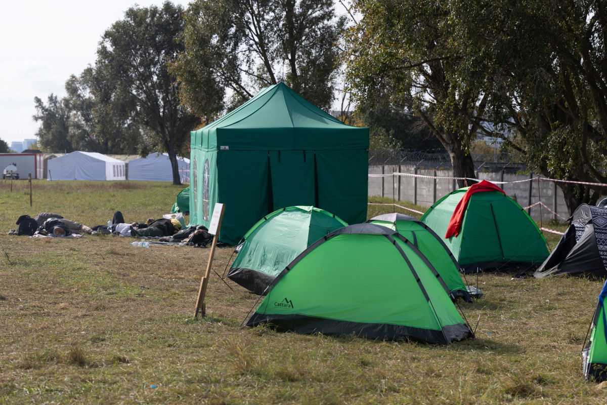 migranti, Vajnory,