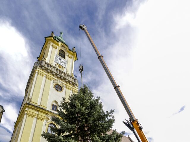 SR Vianočný strom osadenie Hlavné námestie BAX
