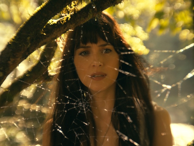 madame web