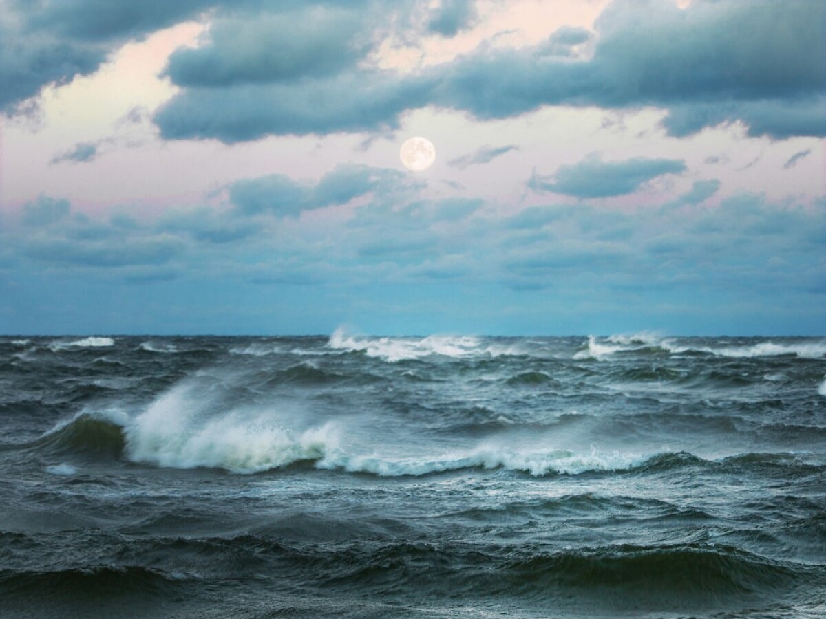 more, oceán