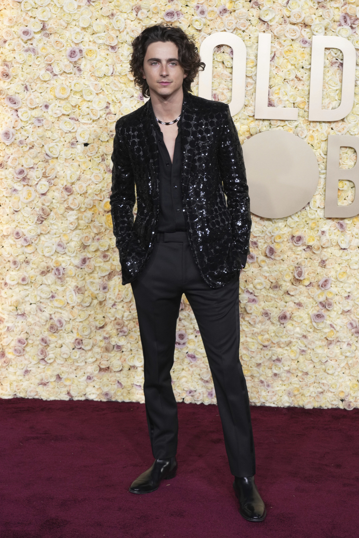 Herec Timothée Chalamet v značke Celine.