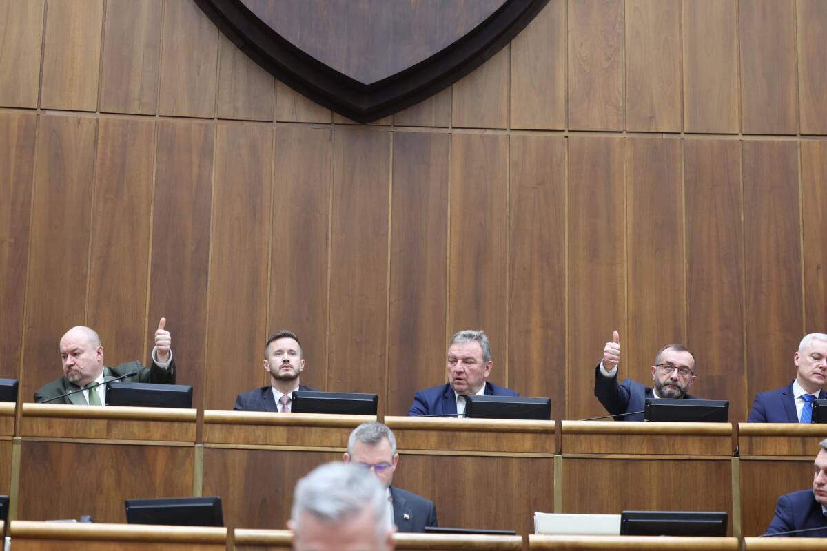 novela Trestného zákona, parlament