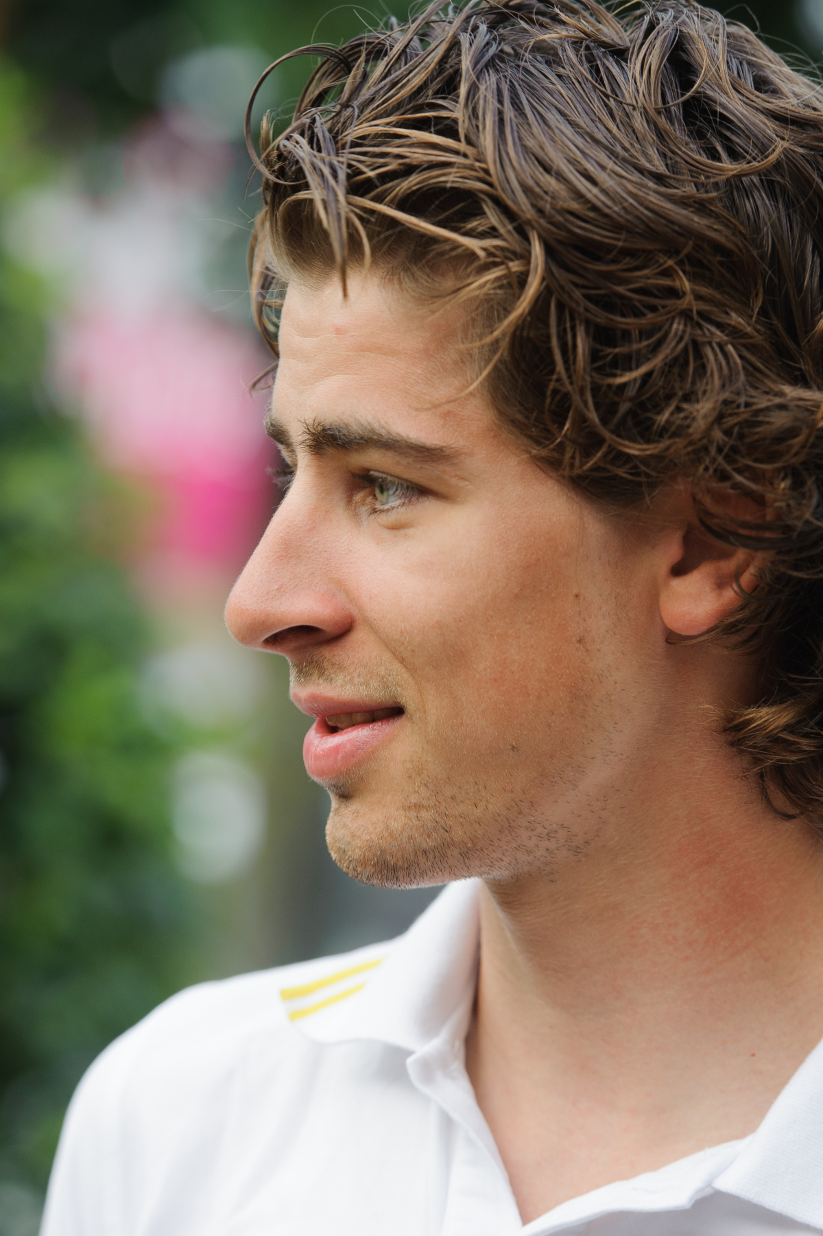 sagan
