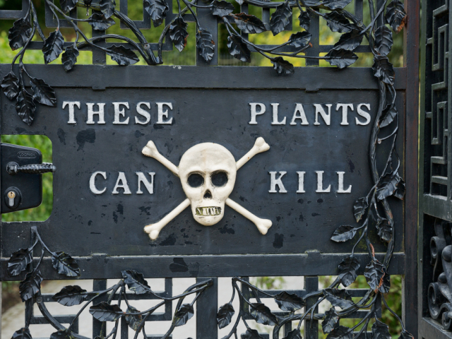 Varovanie na vstupnej bráne do jedovatej záhrady Alnwick Poison Garden v severnom Anglicku.