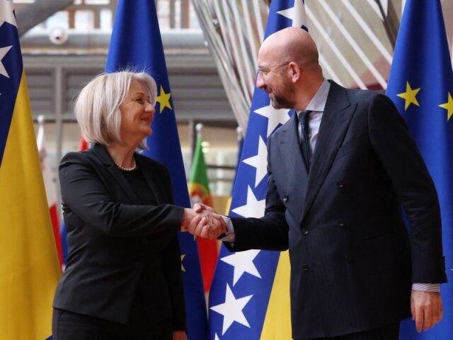 Charles Michel, Borjana Krišto