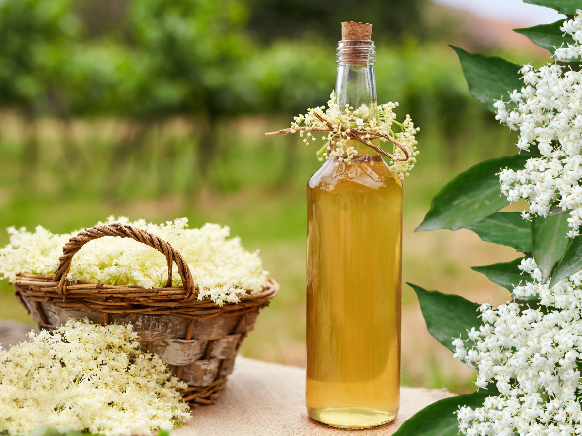 baza čierna, bazový sirup