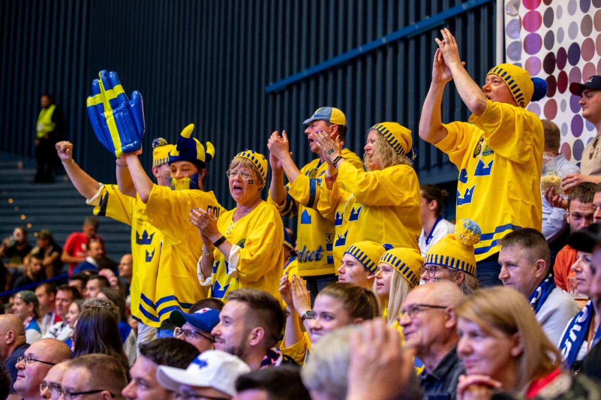 swe10