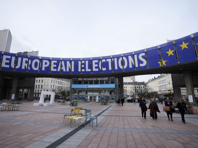 TikTok European Elections