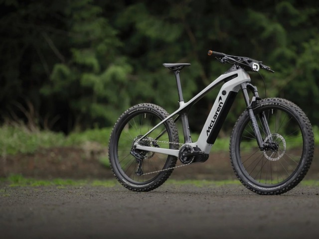 Model Sport 600 má väčšie kolesá, ale odpružené je len to predné.