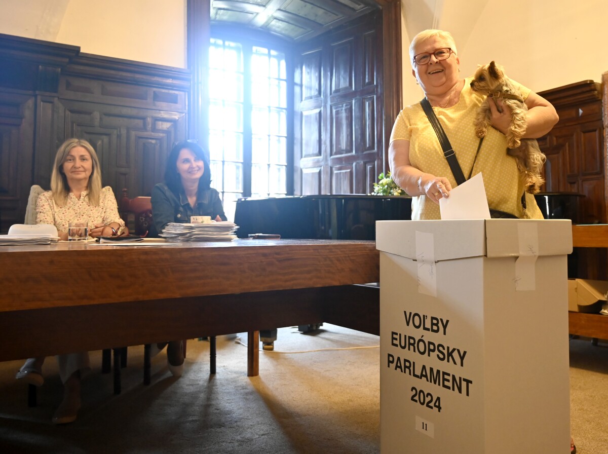 SR Humenné EÚ EP voľbyEP24 POX