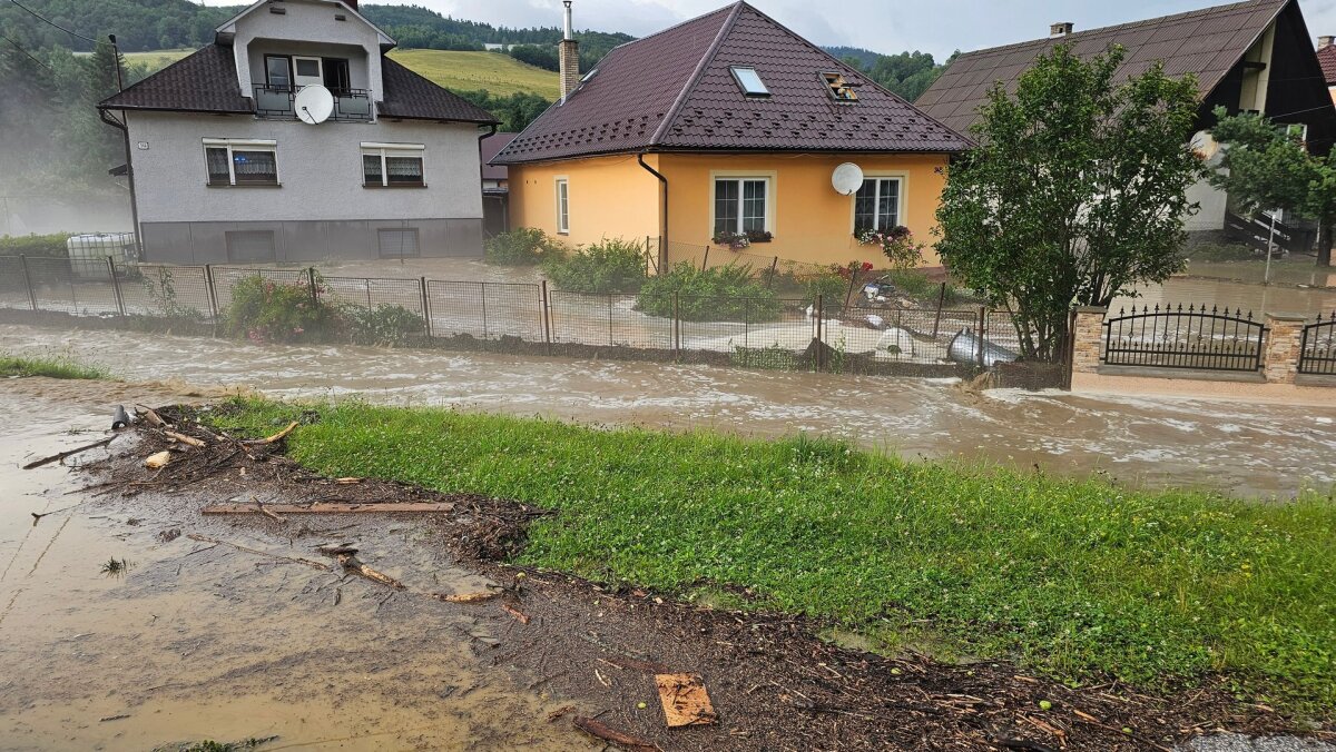 mnisek