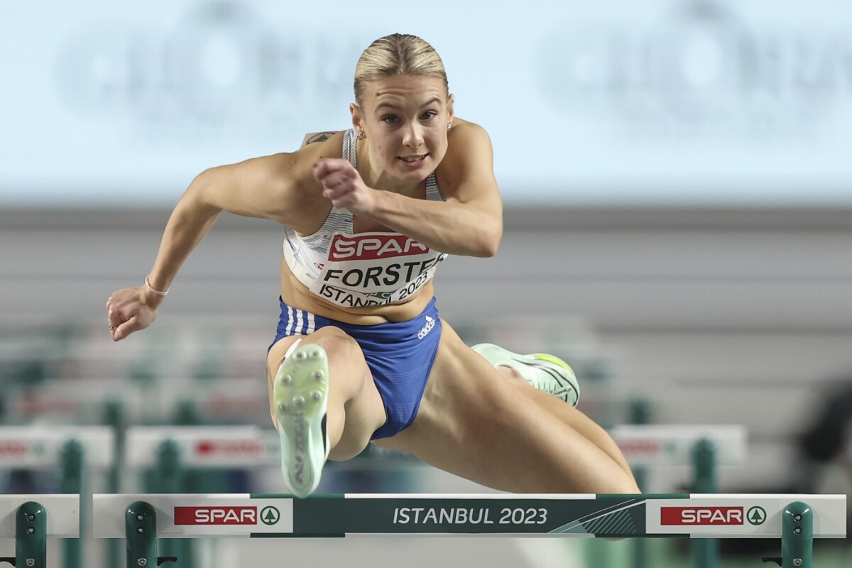 17 forster