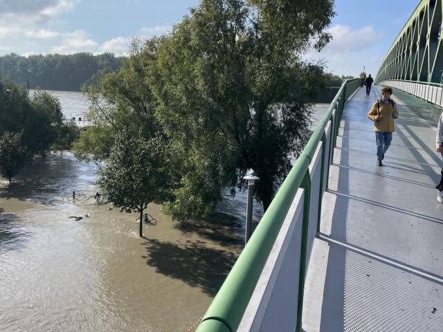 Dunaj, Bratislava