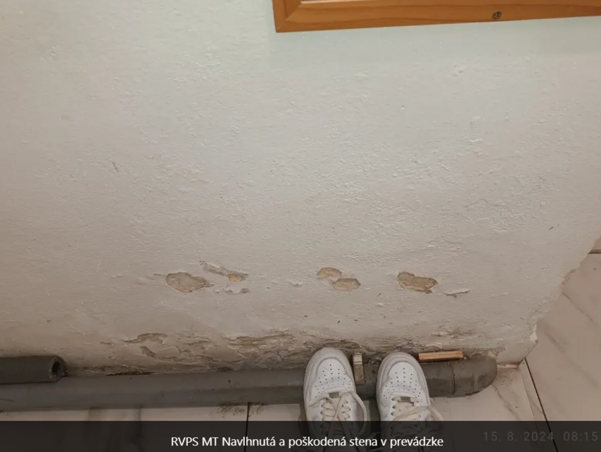 ŠVPS