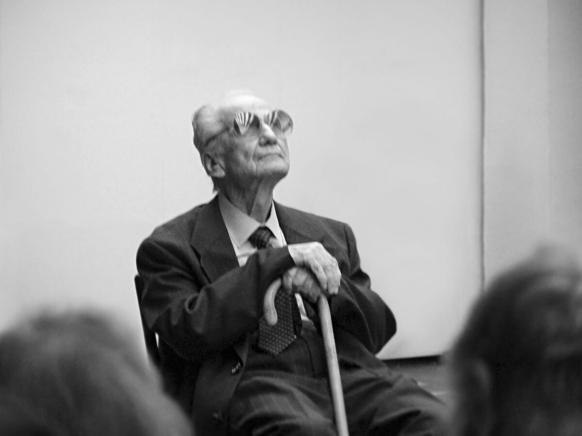 Vladimír Dedeček, sng