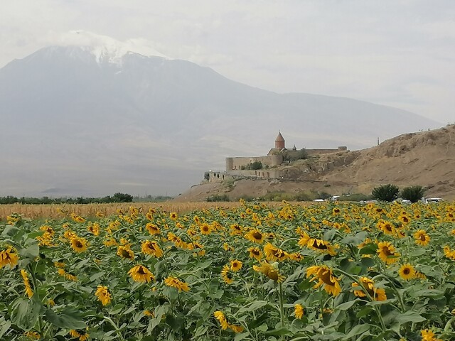 Ararat,  pred nim Chor Virap