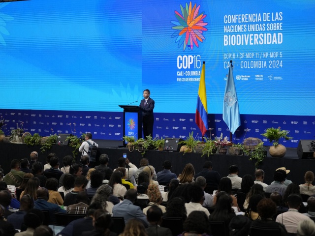 Huang Runqiu / COP16 /