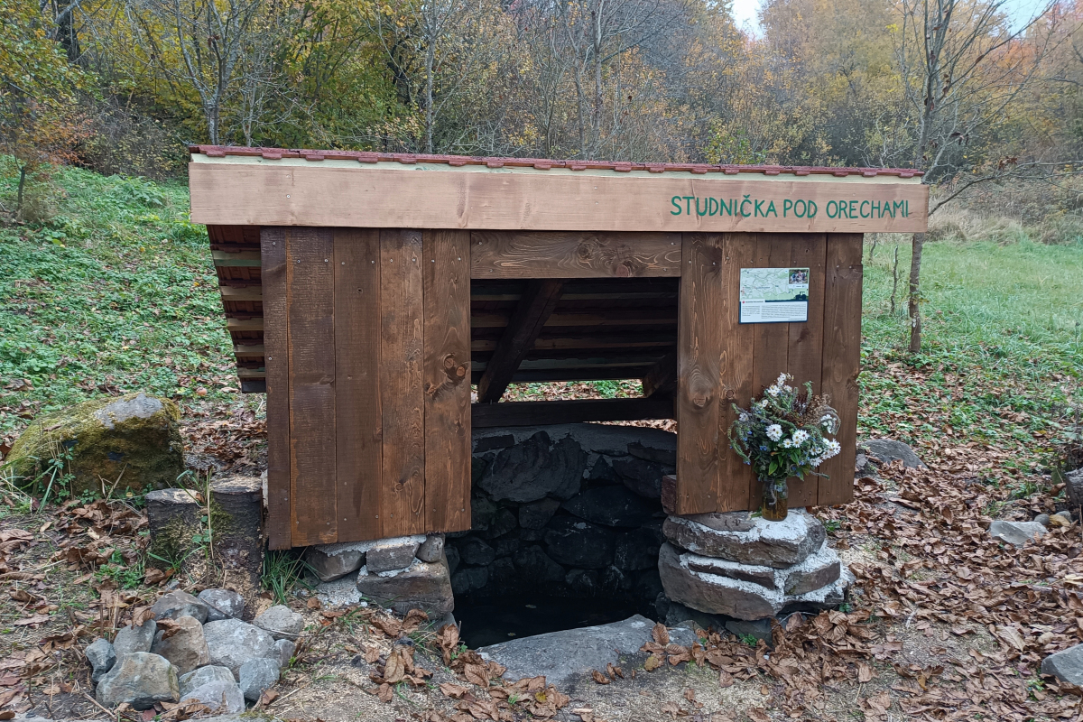 Zaježová, studnička, chodník, voda