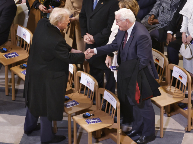 Notre-Dame, trump, Steinmeier