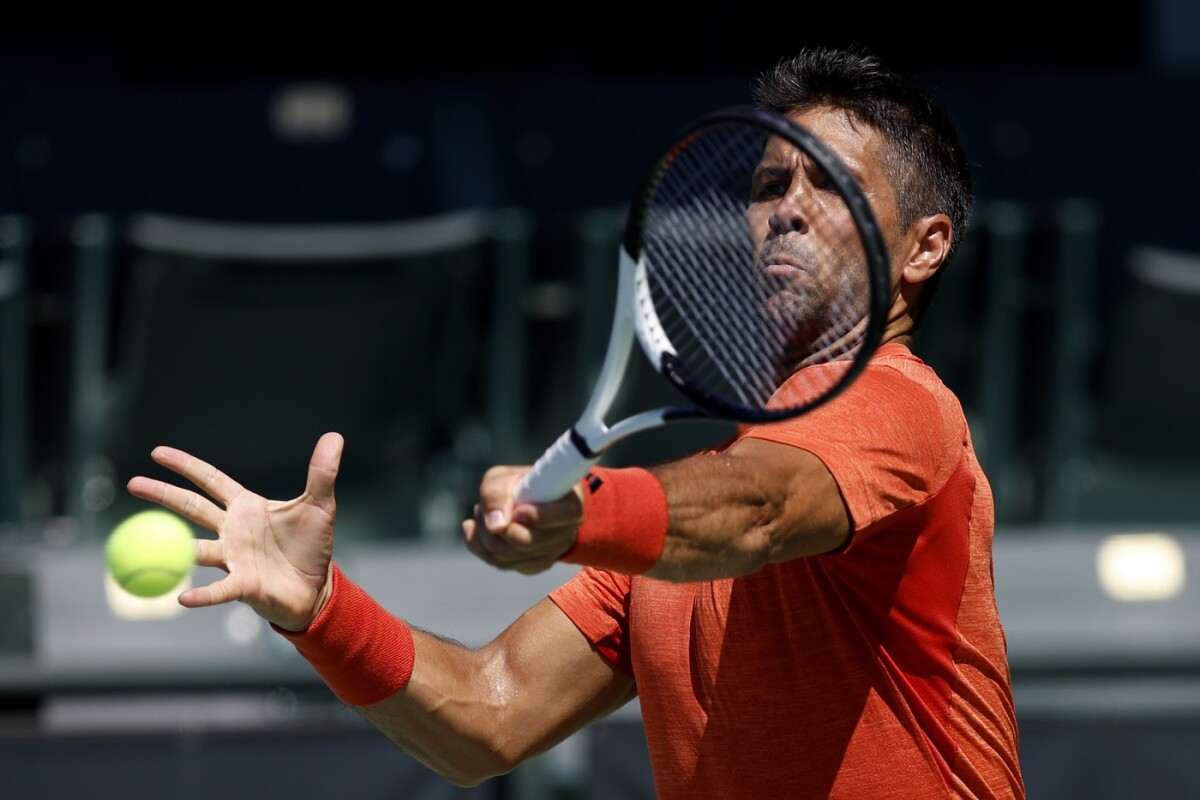 Fernando Verdasco 1