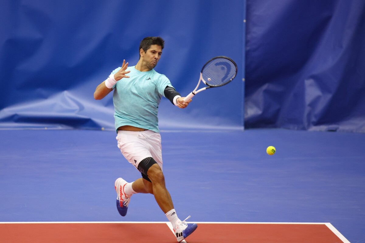 Fernando Verdasco 2
