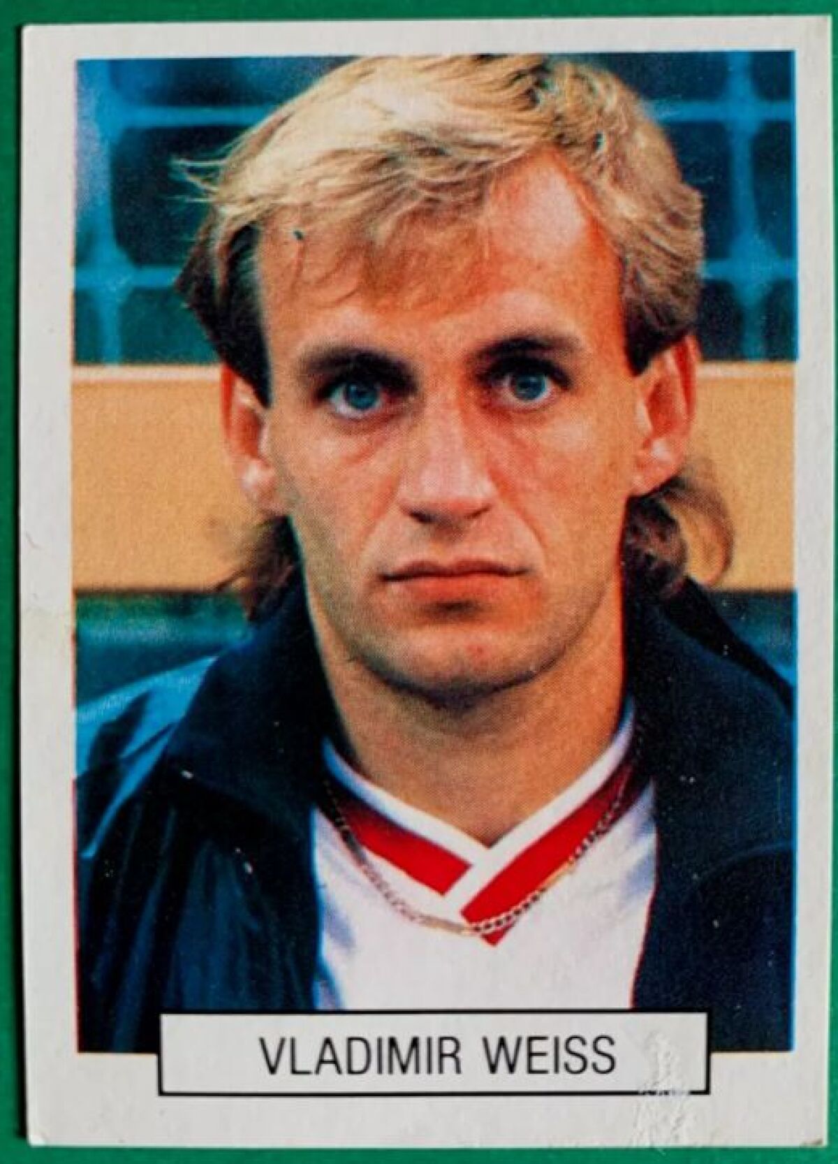 35. Vladimír Weiss