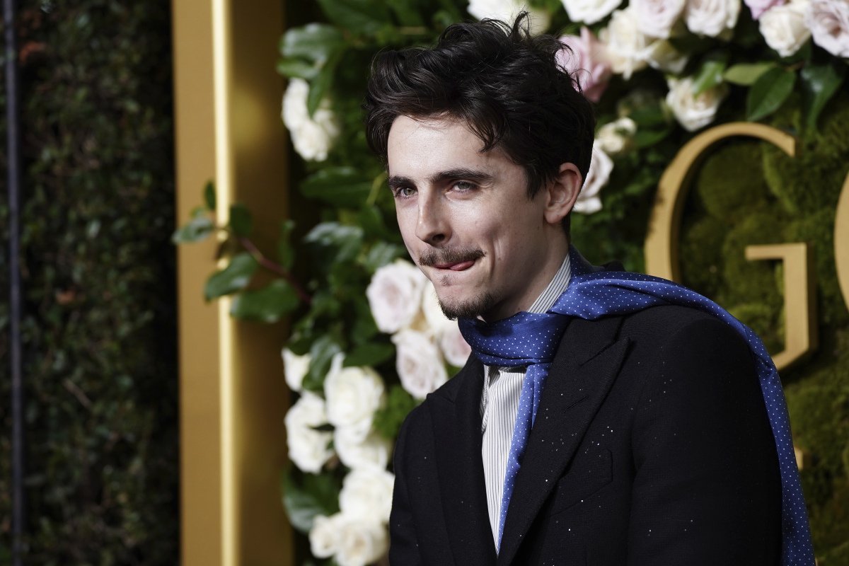 Herec Timothee Chalamet.