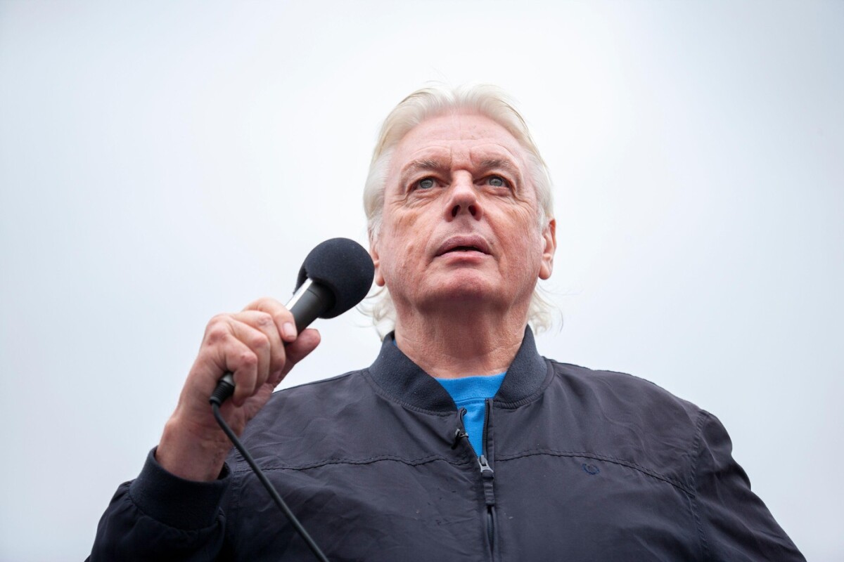 David Icke 2