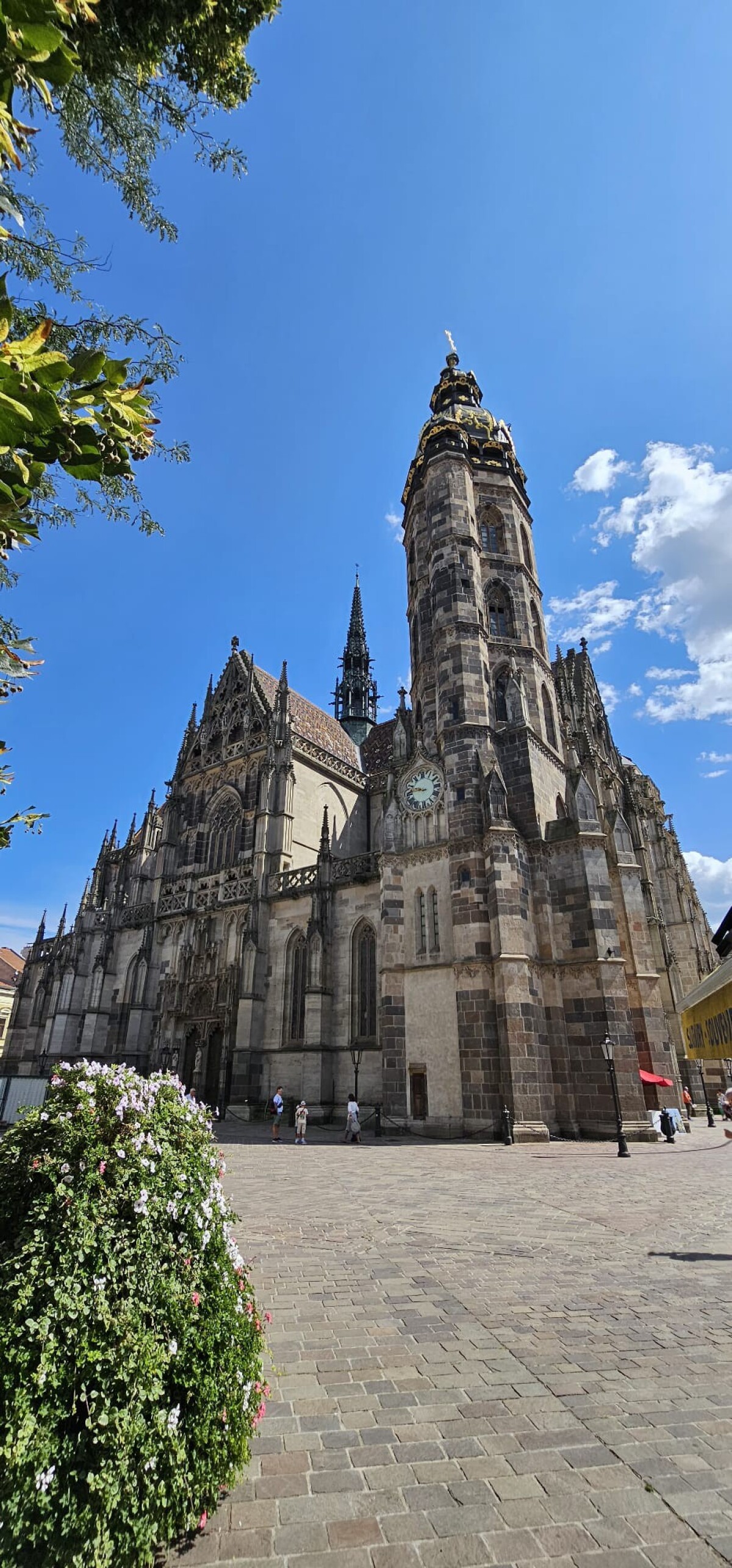 Dóm sv. Alžbety, Košice, mReportér