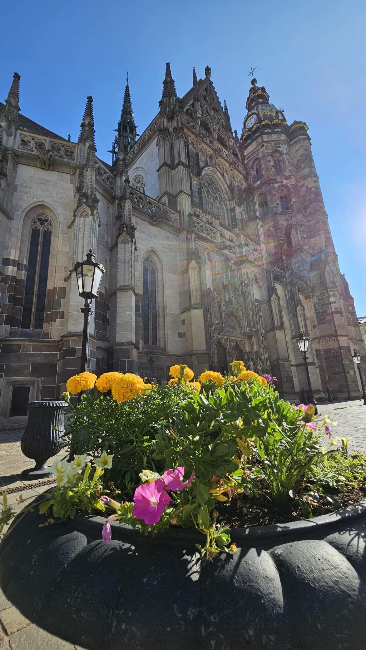 Dóm sv. Alžbety, Košice, mReportér