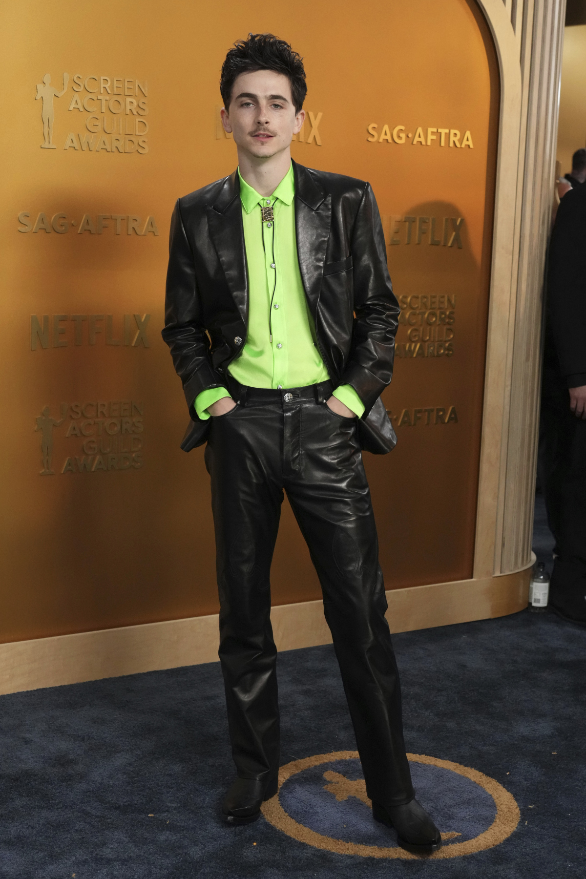 31st Annual SAG Awards - Arrivals