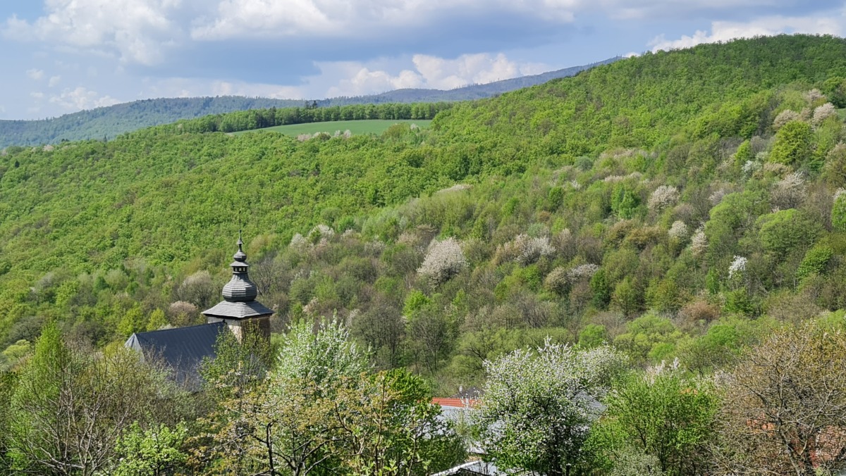 Kostol v Brdarke v zaplave zelene