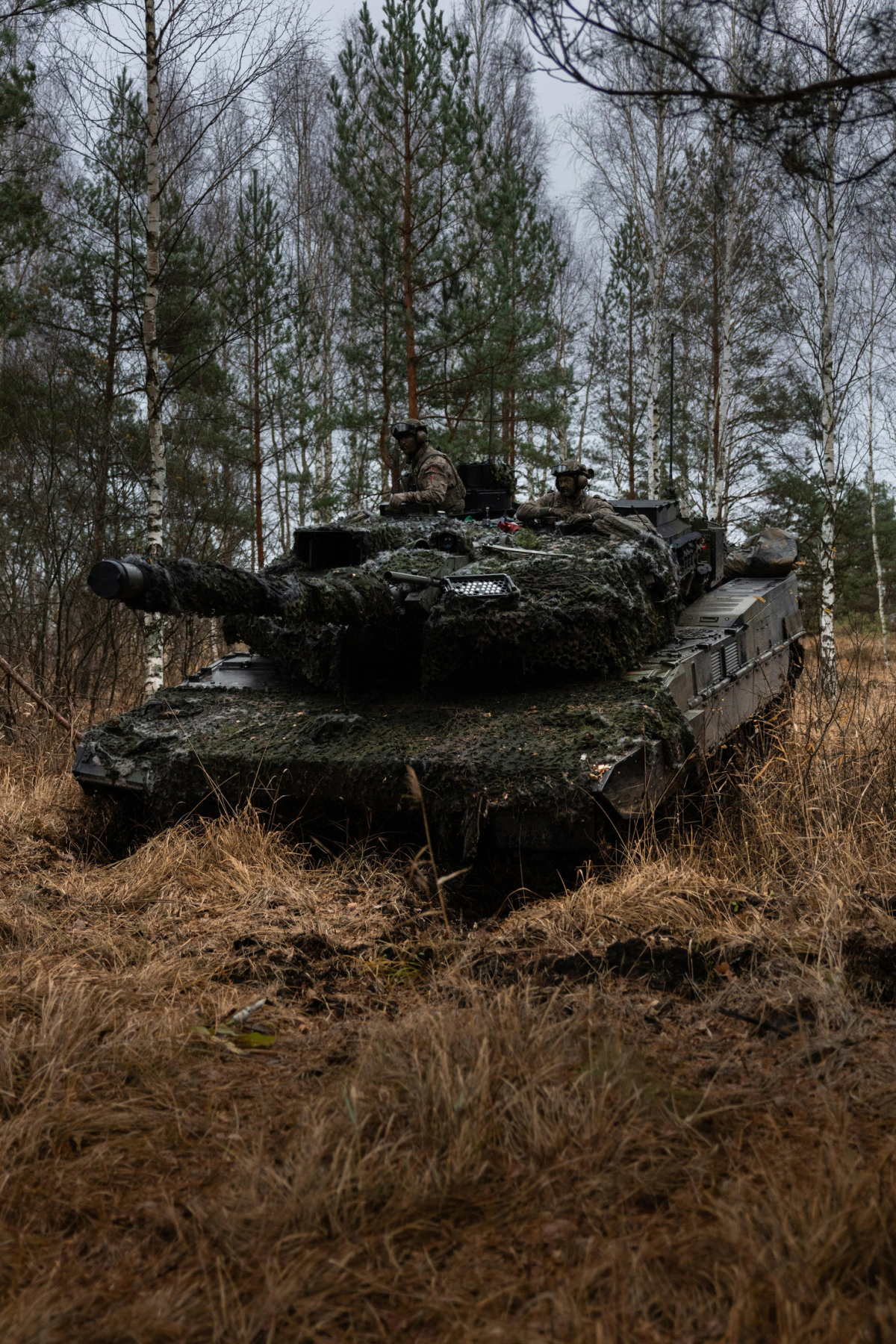 NATO 8