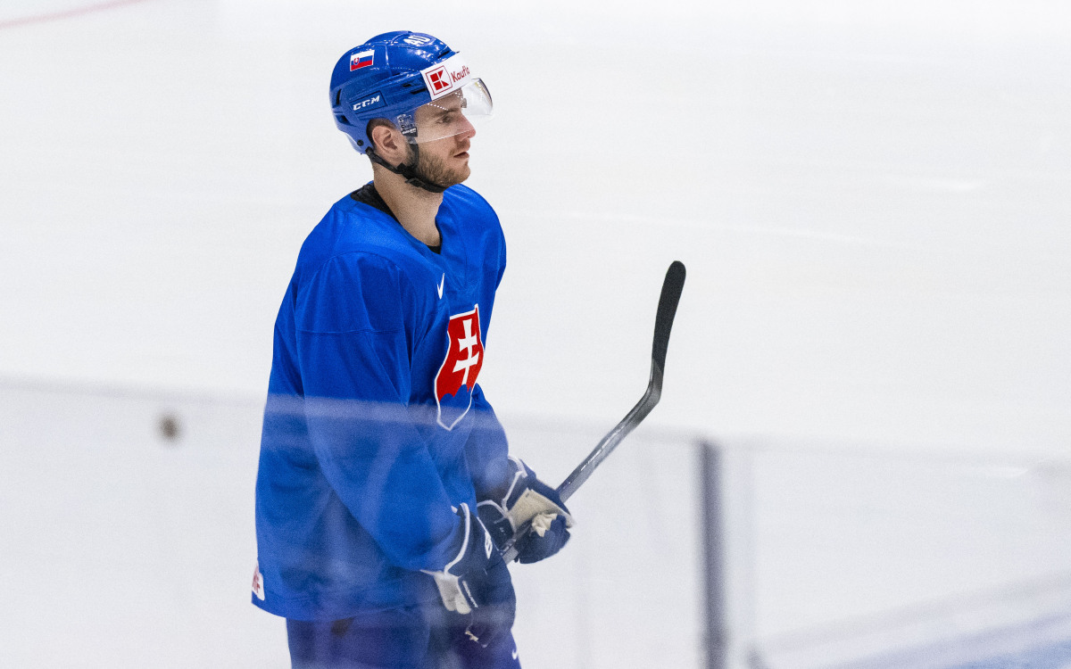 miloš roman