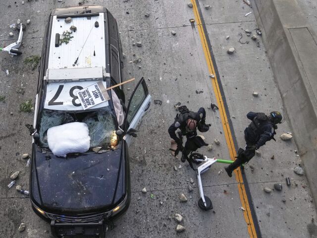 Los Angeles, protesty, garda