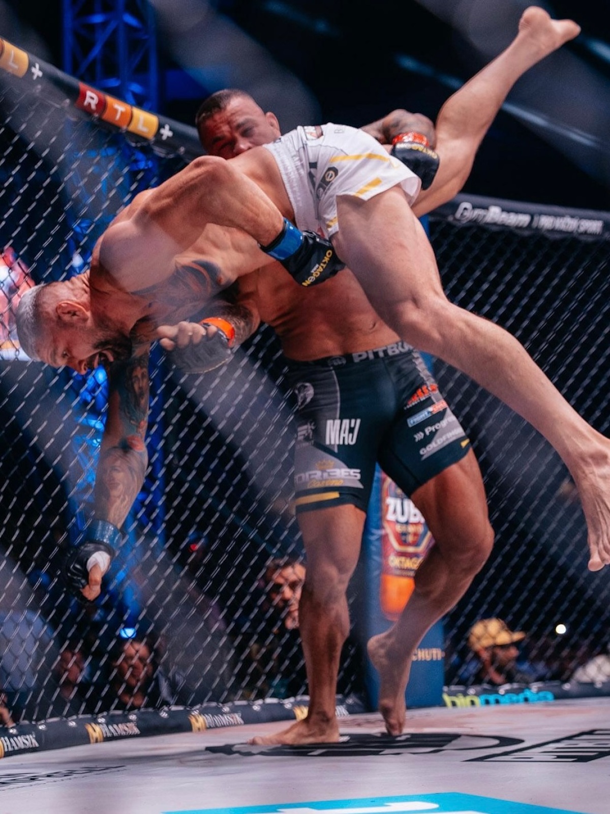 végh vémola
