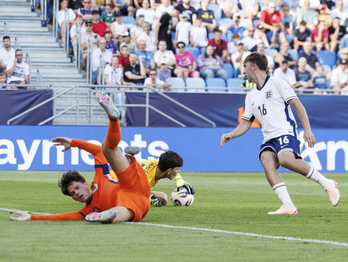 Thom Van Bergen