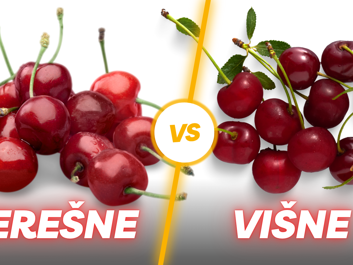 višne, čerešne, NEPOUŽÍVAŤ