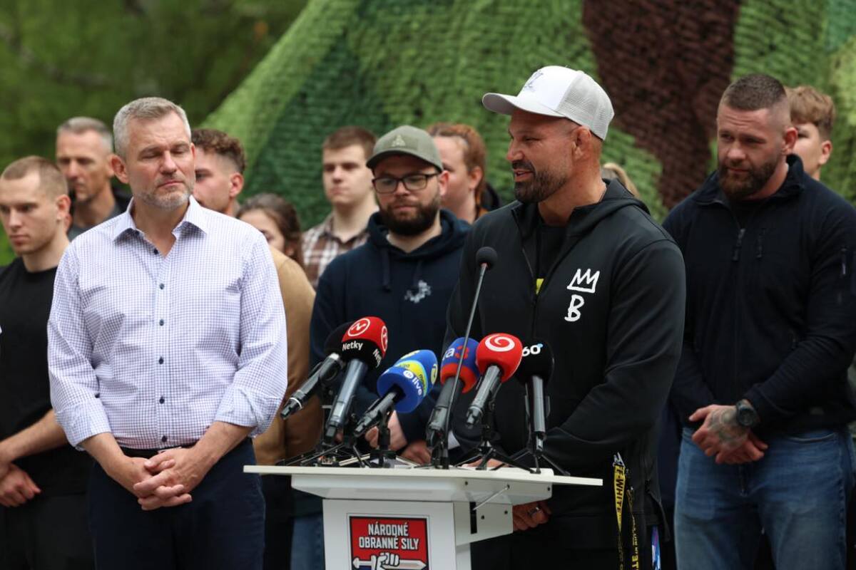 Národné obranné sily, Pellegrini, Attila Végh, Kaliňák