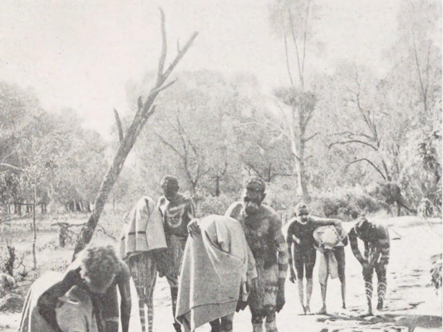 Obrady dospievania vo východnej Austrálii, 1931 Bludisko Borra.