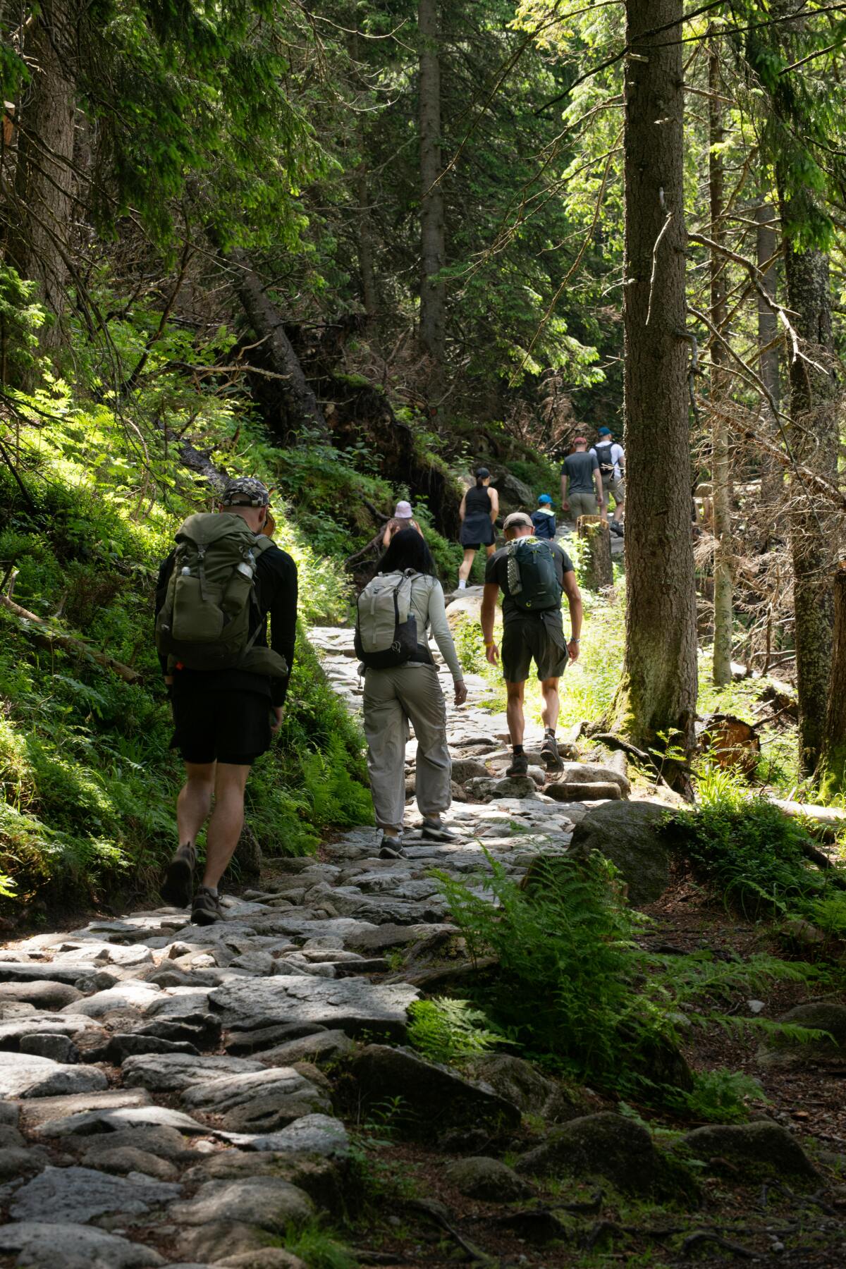 Tatry, Poľsko, Zakopané, hory, túra
