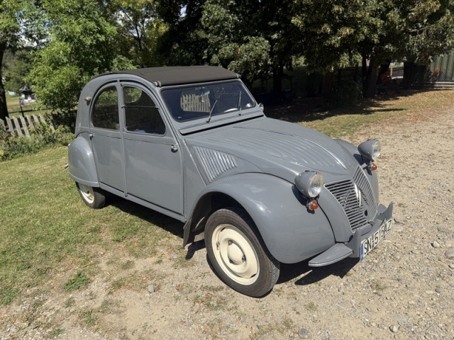 auto