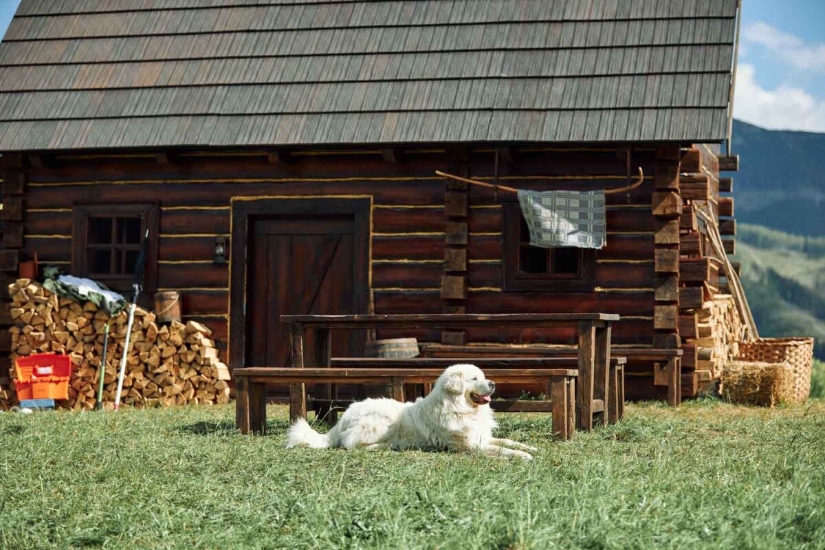 COOP Jednota, bača a honelník