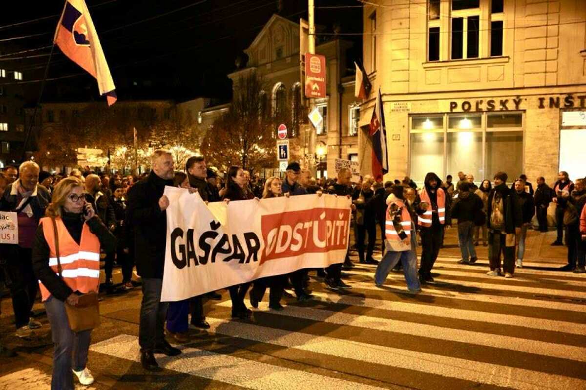 Pochod / Protest / Pavol Gašpar /