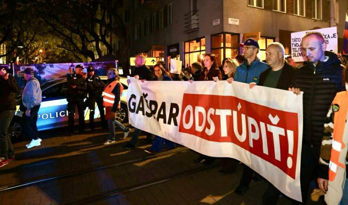 Pochod / Protest / Pavol Gašpar /