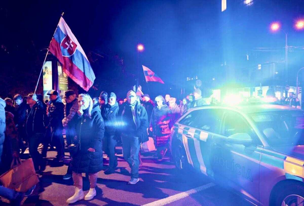 Pochod / Protest / Pavol Gašpar /